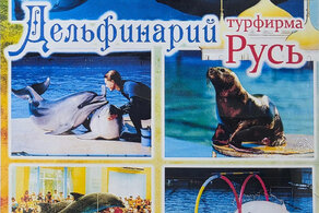 ДЕЛЬФИНАРИЙ ДЕЛЬФИНАРИЙ
